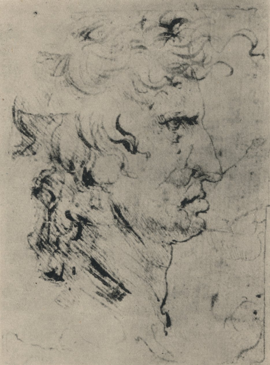 Profil muže napravo, c1480 1945 od Leonardo da Vinci