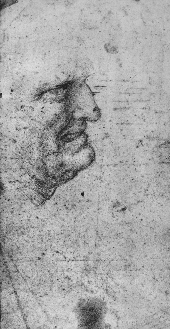 Profil muže se zaťatými zuby, c1480 1945 od Leonardo da Vinci