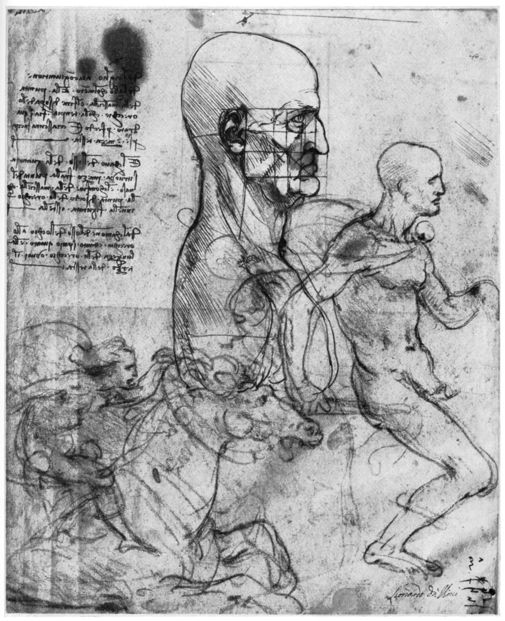 Profil mužské hlavy a studie dvou jezdců, c1490 a c1504 1954. od Leonardo da Vinci
