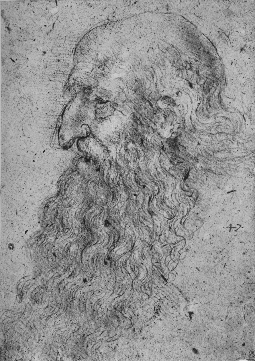 Profil starého vousatého muže nalevo, c1480 1945 od Leonardo da Vinci
