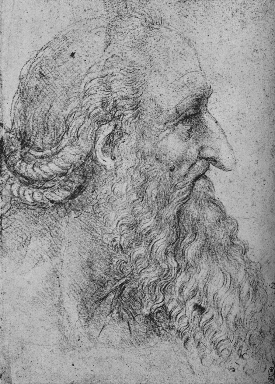 Profil starého vousatého muže napravo, c1480 1945 od Leonardo da Vinci