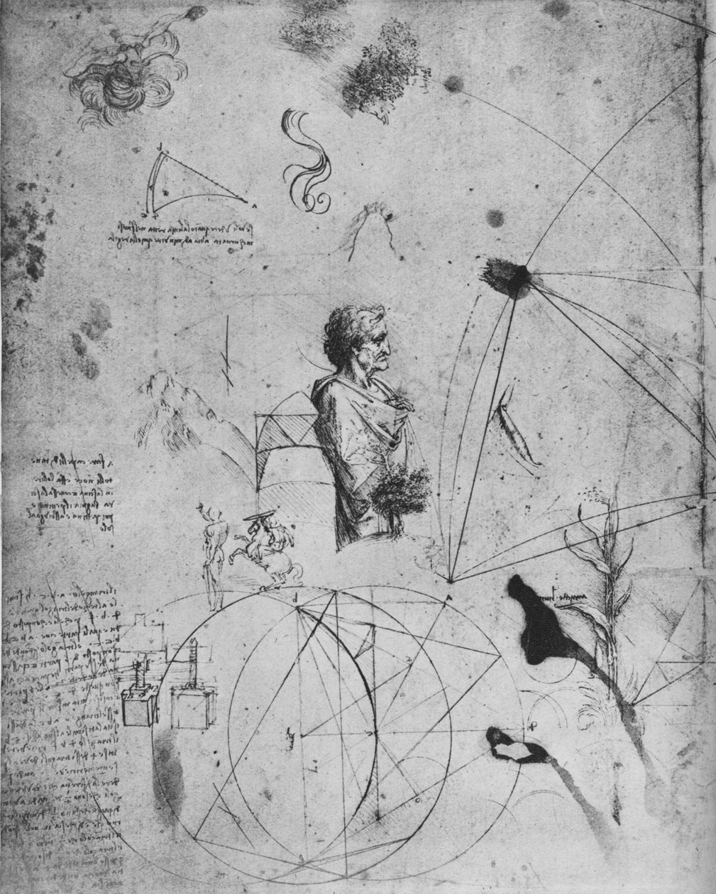 Profil starého muže, rostliny, geometrické obrazce atd., c1480 1945 od Leonardo da Vinci
