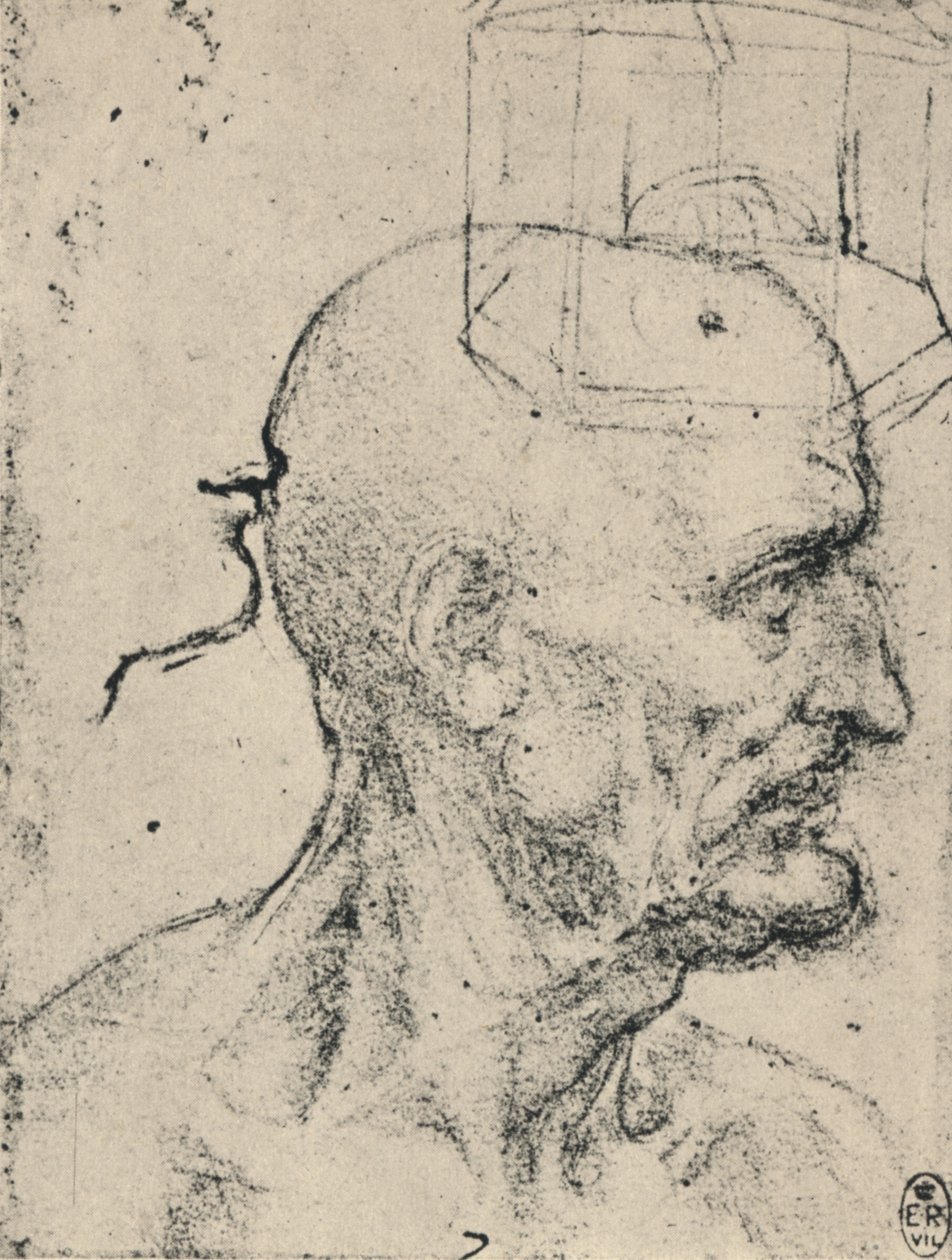 Profil vpravo od plešatého muže, c1480 1945 od Leonardo da Vinci