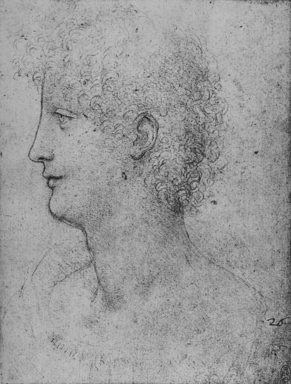 Profil nalevo kudrnatého mladíka, c1480 1945 od Leonardo da Vinci