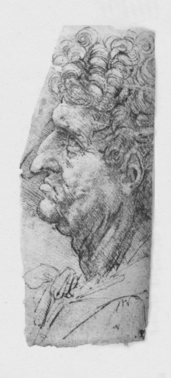 Profil nalevo staršího muže s kudrnatými vlasy, c1480 1945 od Leonardo da Vinci
