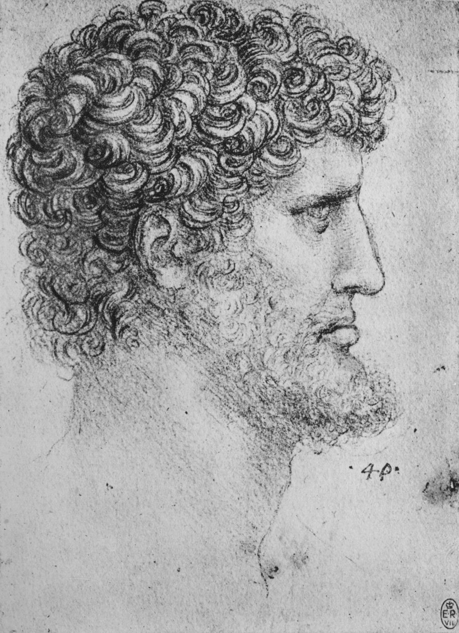 Profil napravo od vousatého muže, c1480 1945 od Leonardo da Vinci
