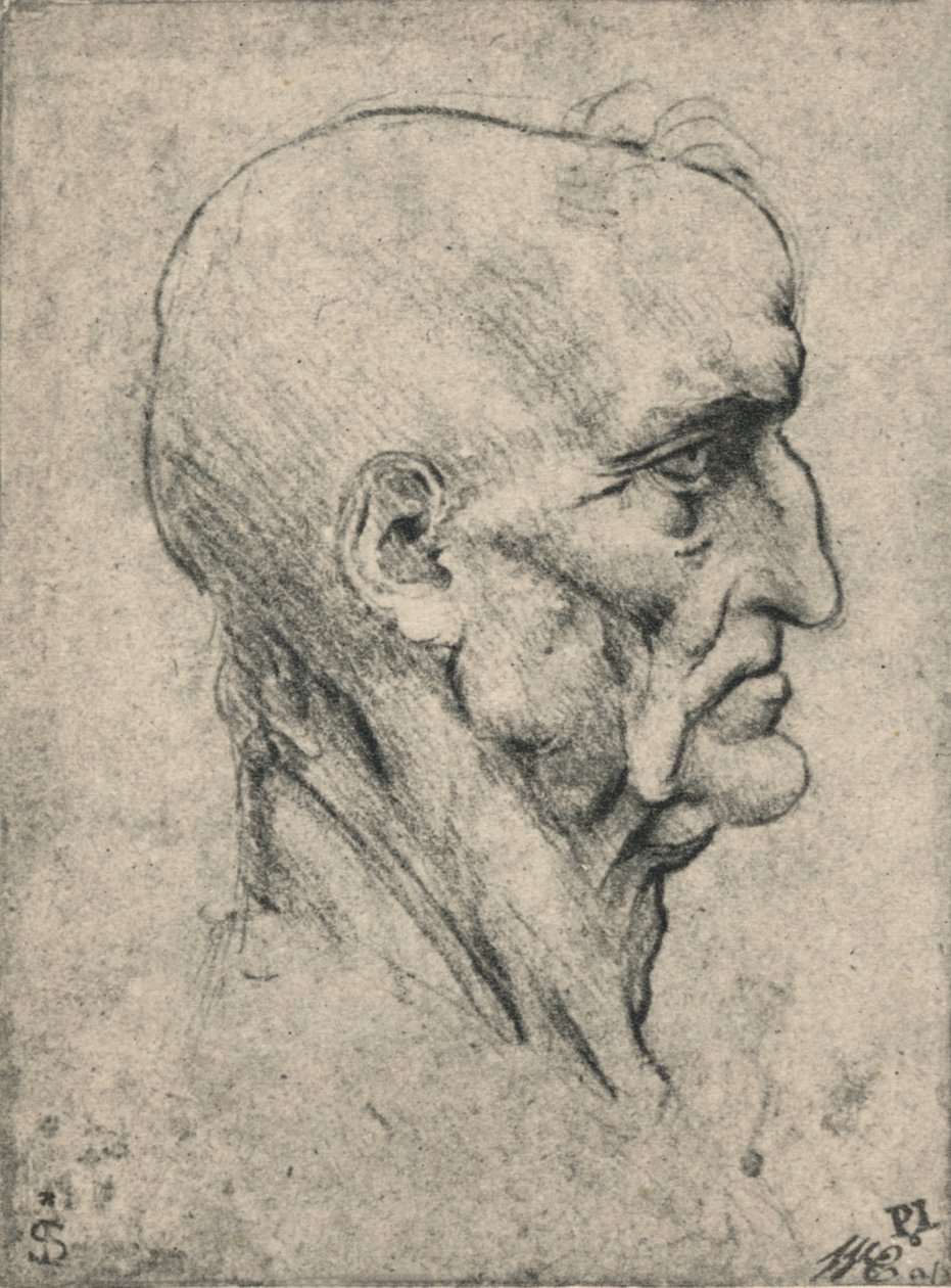 Profil napravo staršího holohlavého muže, c1480 1945 od Leonardo da Vinci