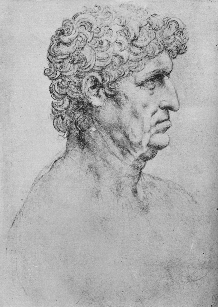Profil po pravici staršího muže, c1480 1945 od Leonardo da Vinci