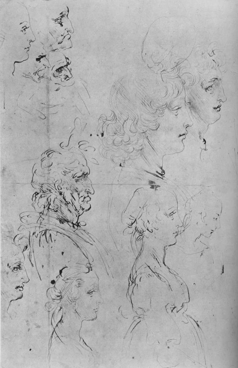 Profily mužů a poloviční délka dívky, c1490 1945 od Leonardo da Vinci