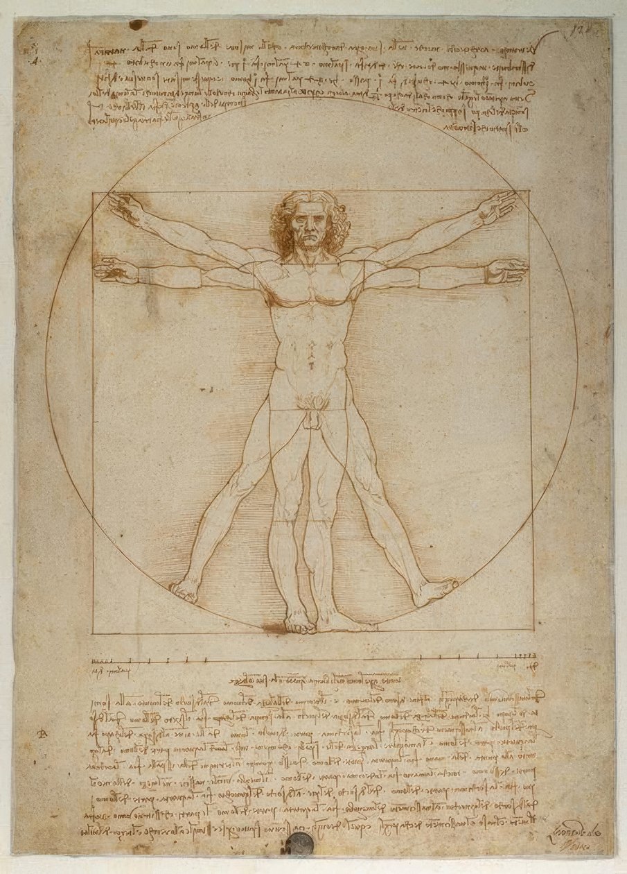 Schéma proporcí lidské postavy podle Vitruvia od Leonardo da Vinci