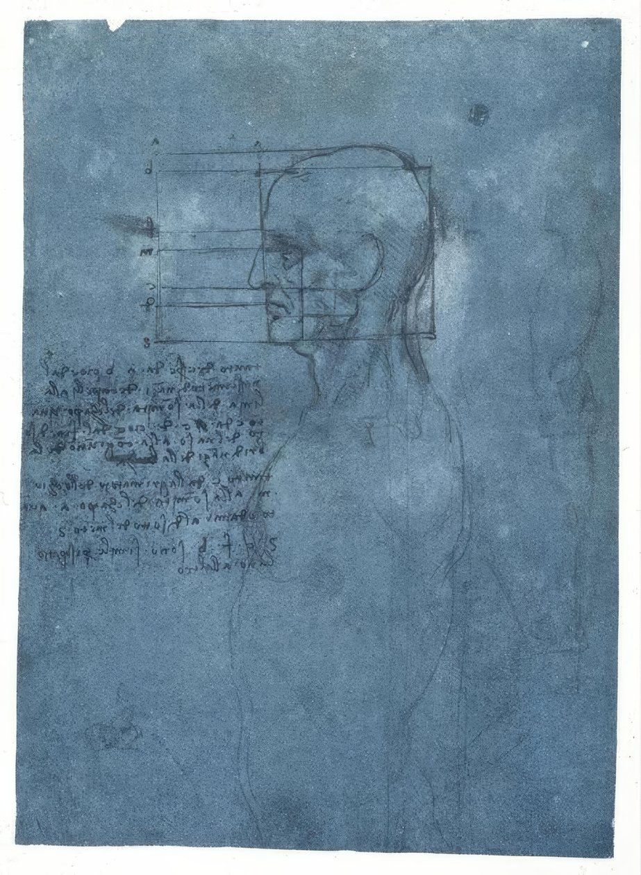 Proporční studie mužské hlavy v profilu od Leonardo da Vinci