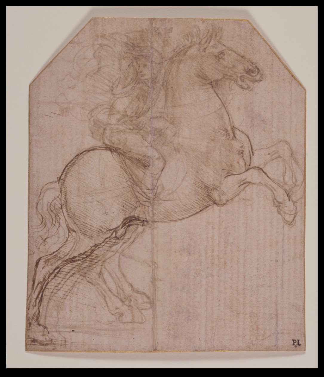 Rider on Rearing Horse, c.1481-82 (stříbrný hrot, pero a hnědý inkoust na připraveném papíře) od Leonardo da Vinci