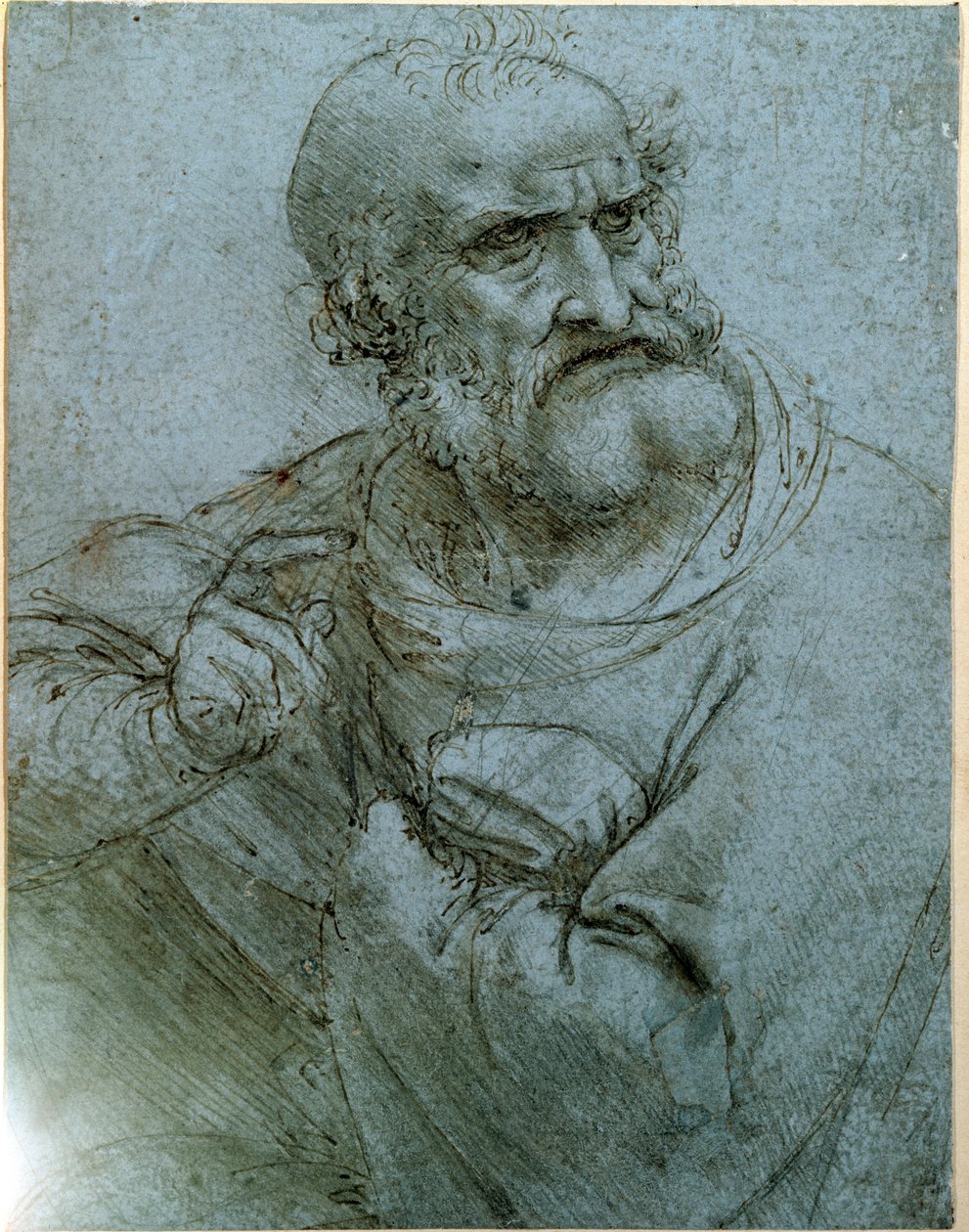 Svatý Petr (kresba od Leonardo da Vinci