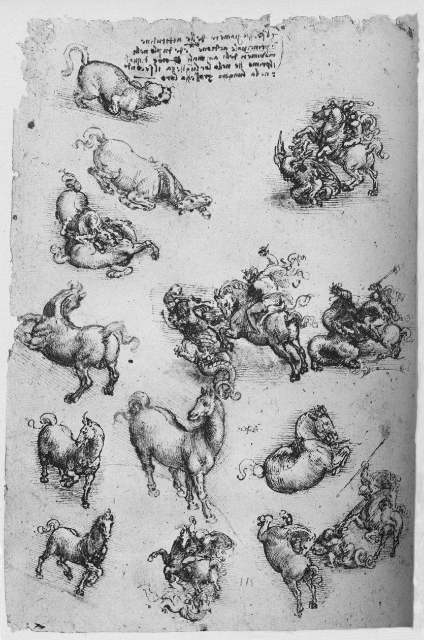 List studií o koních, kočce a o sv. Jiří a drak, c1480 1945 od Leonardo da Vinci