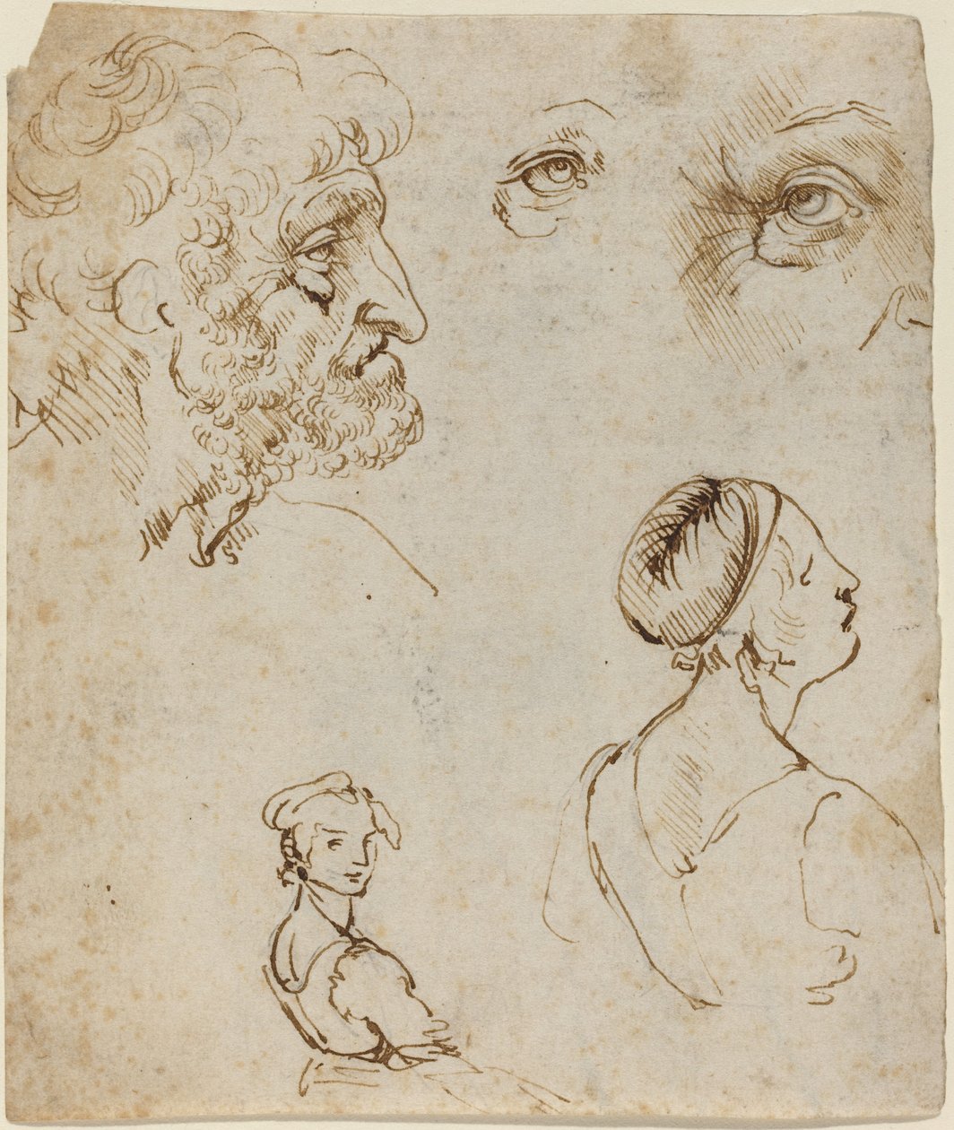 Studijní list [recto] od Leonardo da Vinci