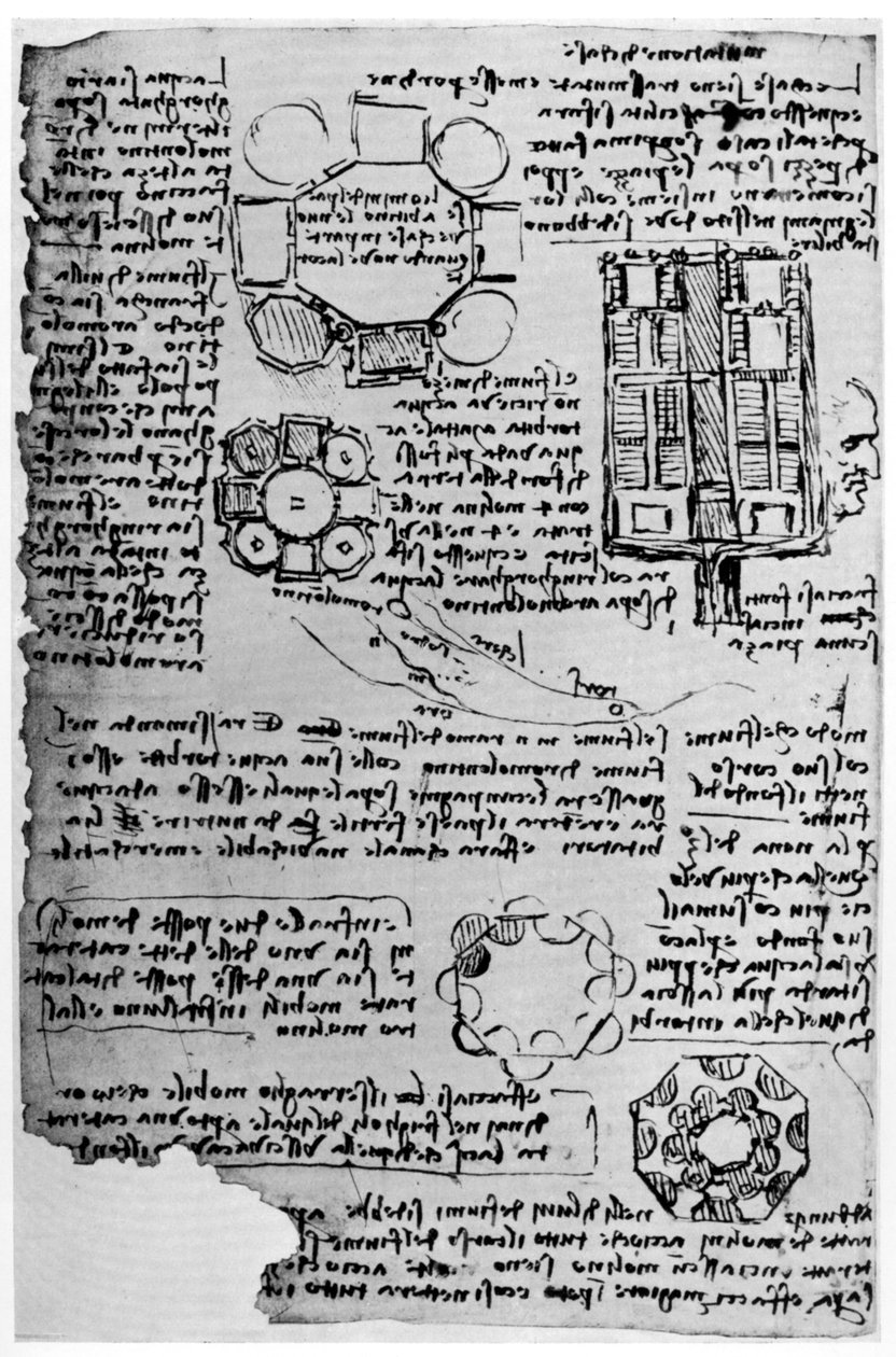 Skica pro zámek Romorantin, 1517-1518 1954. od Leonardo da Vinci