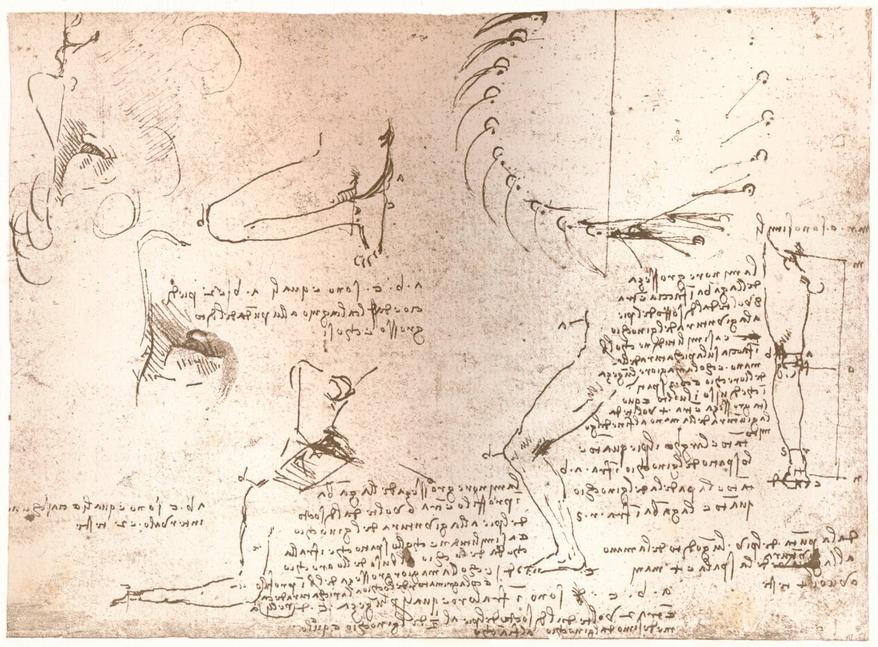 Náčrtky ilustrující teorii proporcí lidské postavy, c1472-c1519 1883 od Leonardo da Vinci