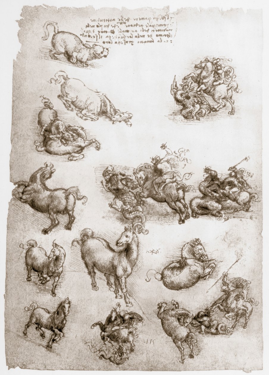 Svatý Jiří a drak, c1506 od Leonardo da Vinci