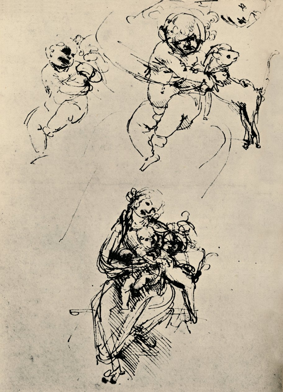Studie pro Madonu a dítě s kočkou, 1478-1480 1945 od Leonardo da Vinci