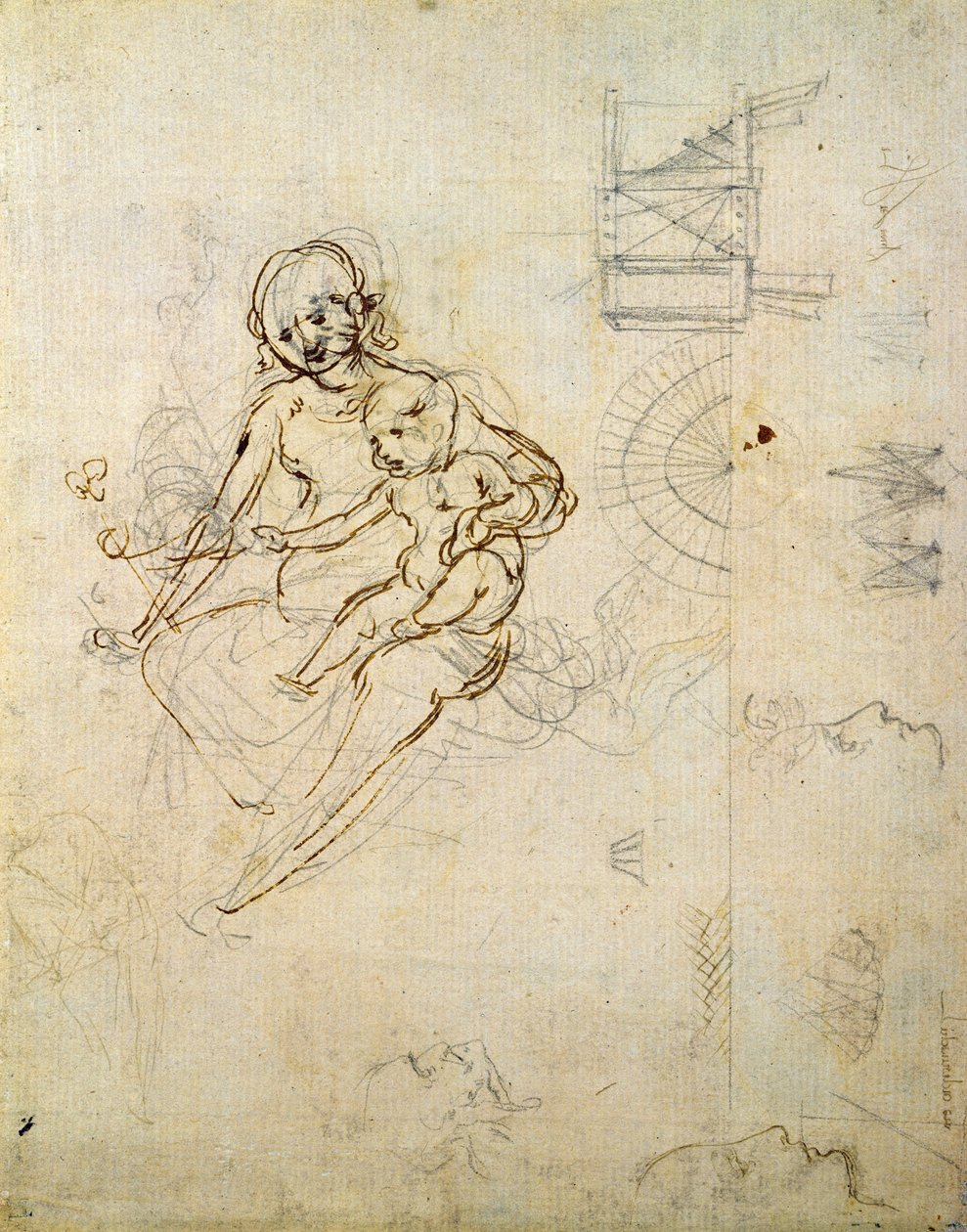 Studie pro pannu a dítě a hlavy v profilu a strojích, c.1478-80 (tužka a inkoust na papíře) od Leonardo da Vinci
