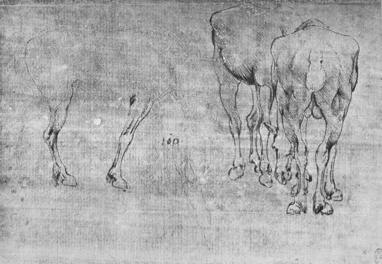 Studie pasení koní, c1480 1945 od Leonardo da Vinci
