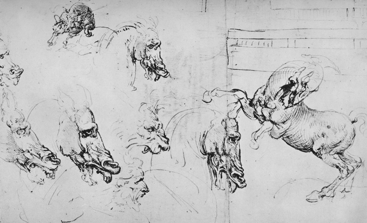 Studie koňských hlav a chovného koně, c1480 1945 od Leonardo da Vinci