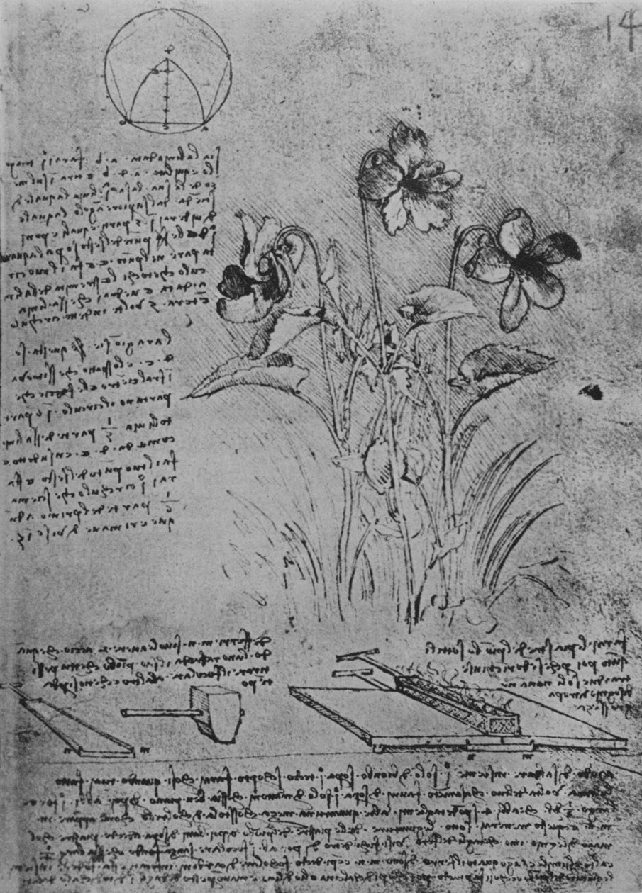 Studie viol a metod pájení olověných střech, c1480 1945 od Leonardo da Vinci