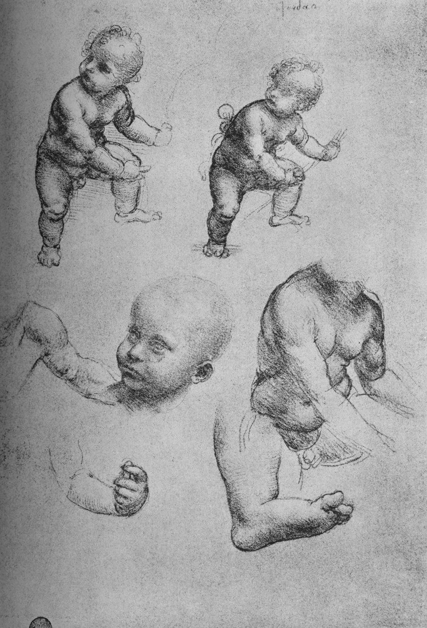 Studie dítěte a částí dítěte, c1480 1945 od Leonardo da Vinci