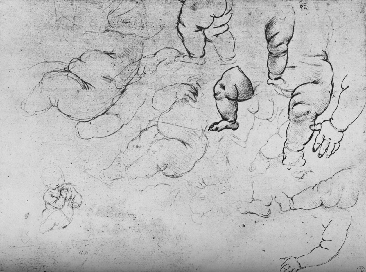 Studie dítěte, c1490 1945 od Leonardo da Vinci