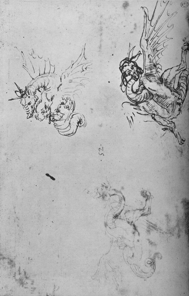 Studie draka, c1480 1945 od Leonardo da Vinci