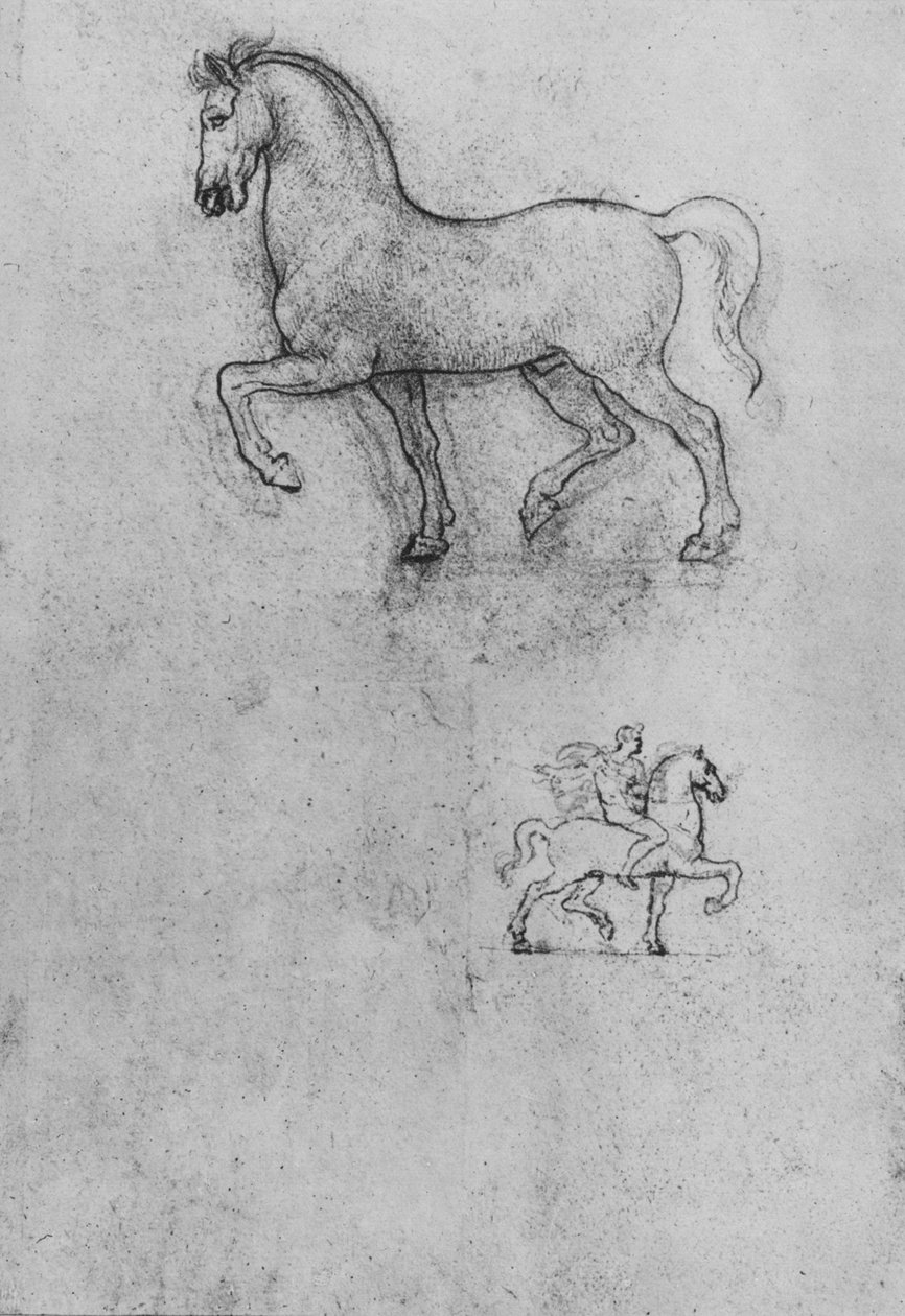Studie koně a jednoho koně a jezdce, c1480 1945 od Leonardo da Vinci