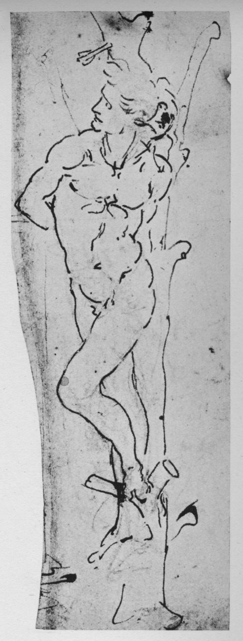Studie pro svatého Šebestiána, c1480 1945 od Leonardo da Vinci