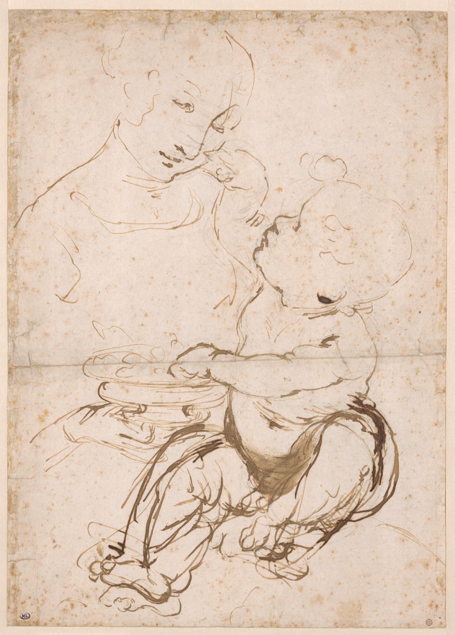 Studie pro Madonu s mísou na ovoce, asi 1478. od Leonardo da Vinci