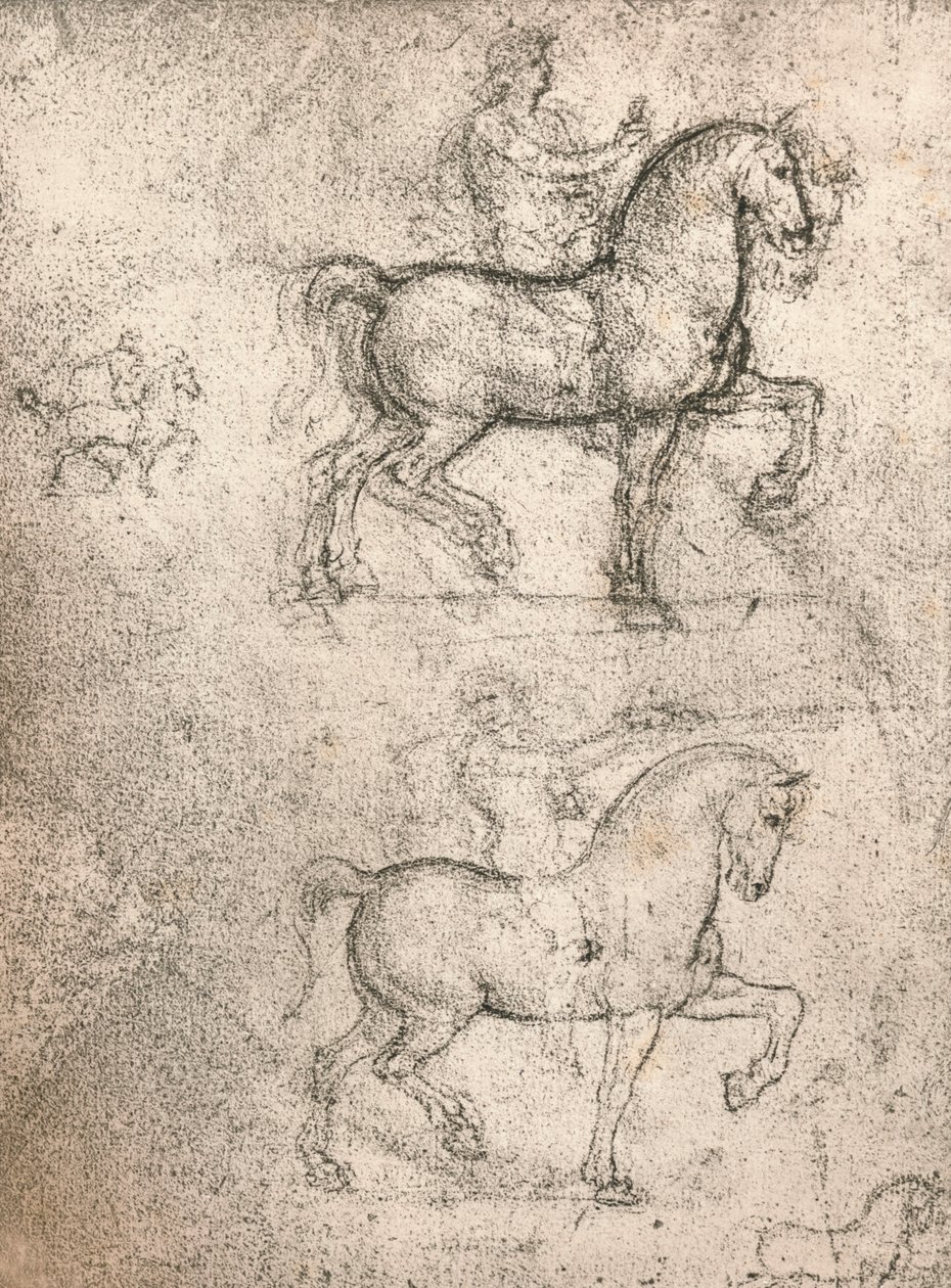 Studie k pomníku Sforza, c1482-c1499 1883 od Leonardo da Vinci