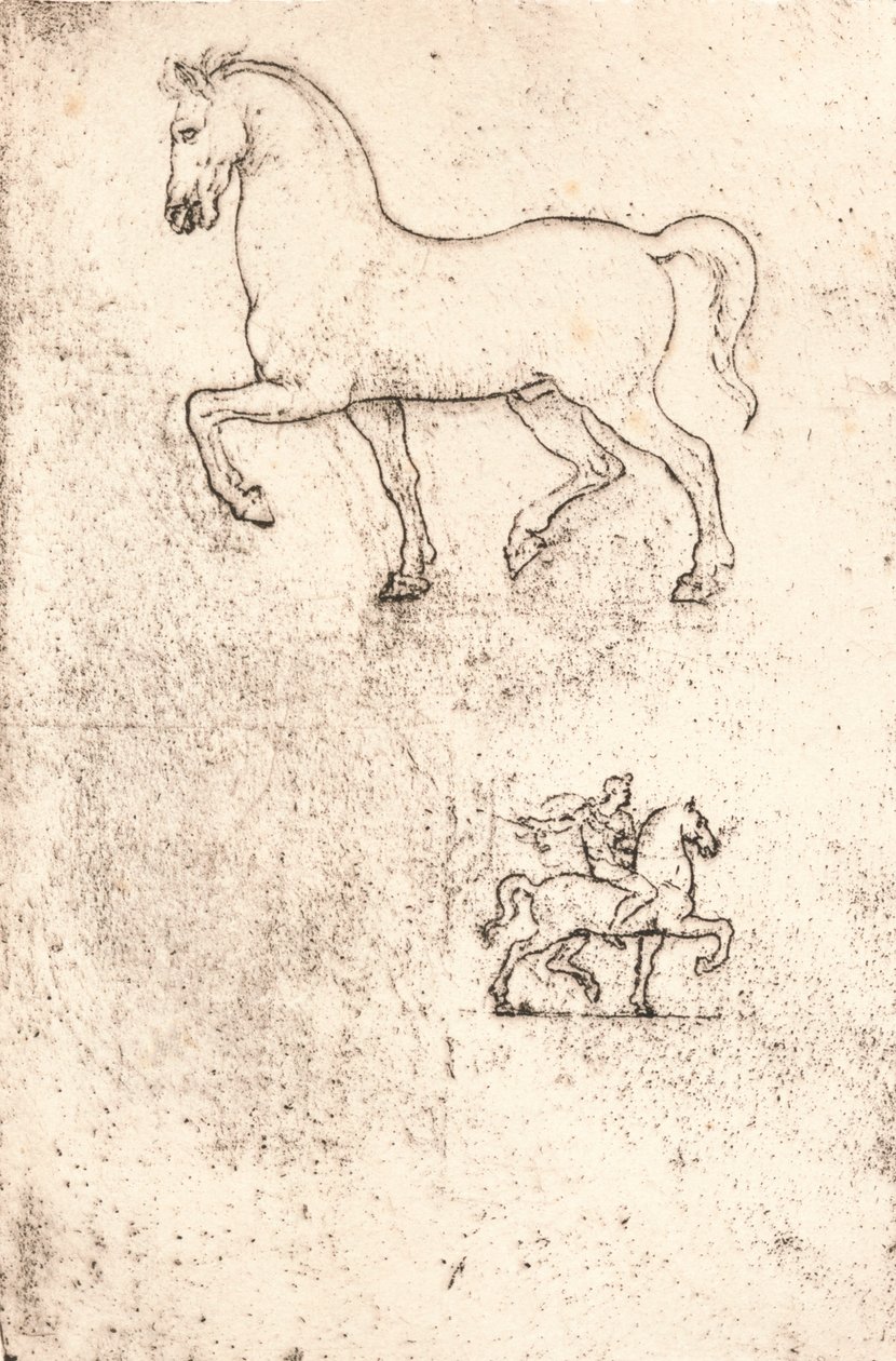 Studie k pomníku Sforza, c1482-c1499 1883 od Leonardo da Vinci