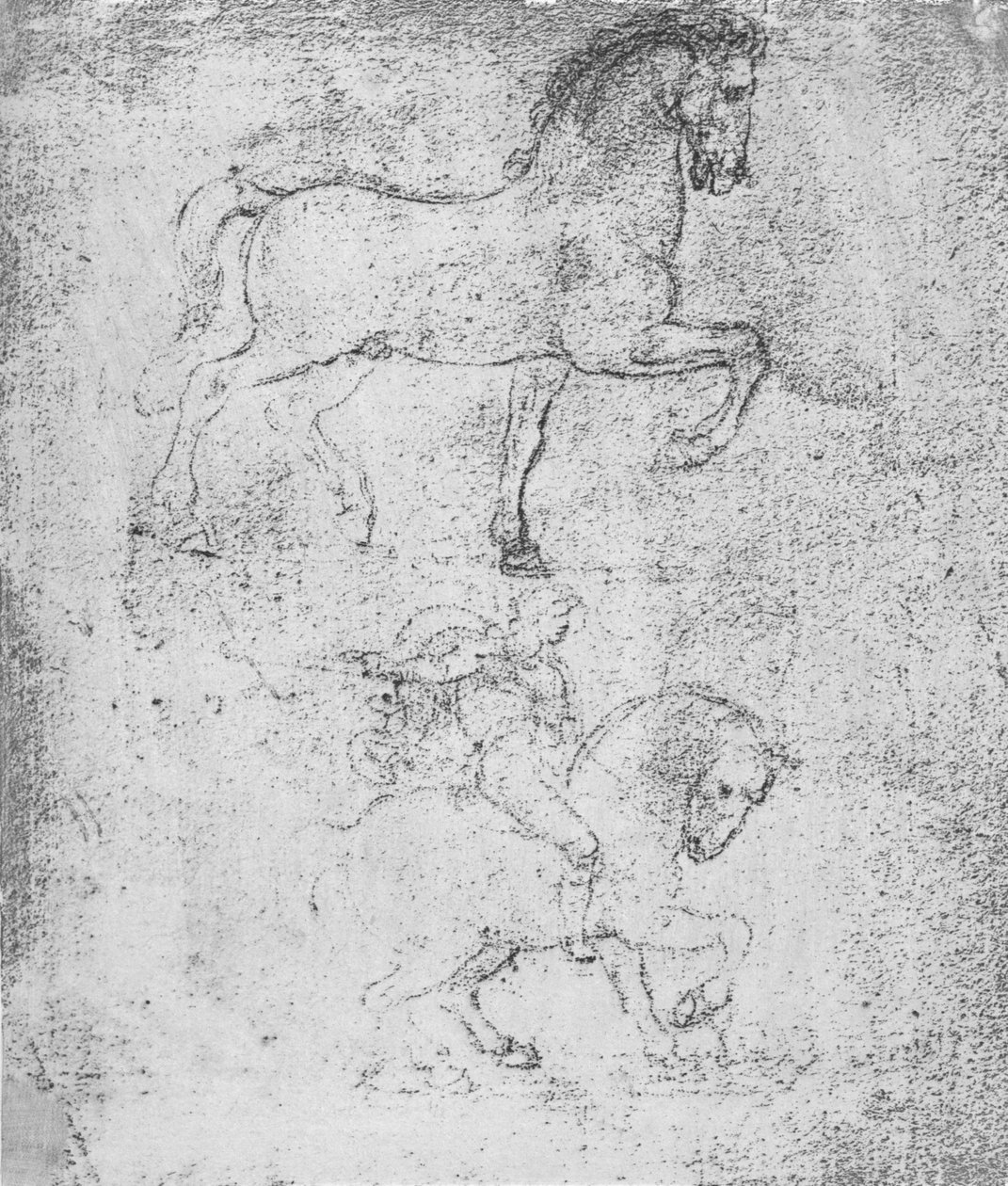 Studie k pomníku Sforza, c1482-c1499 1883 od Leonardo da Vinci