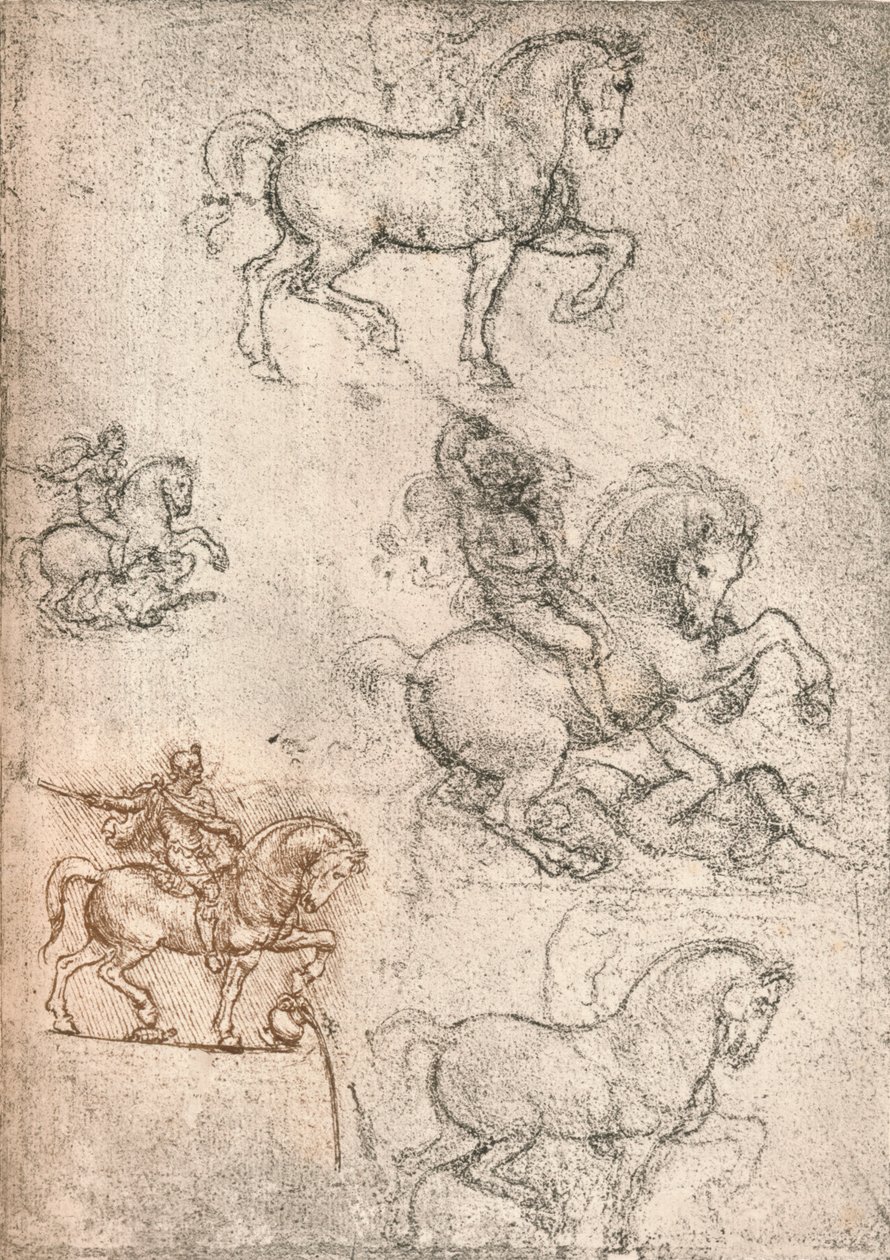 Studie k pomníku Sforza, c1482-c1499 1883 od Leonardo da Vinci