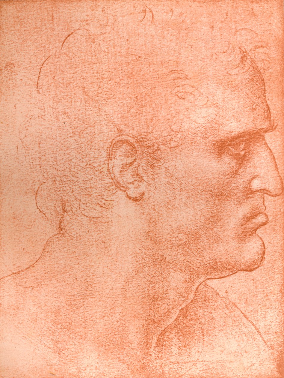 Studie pro hlavu svatého Matouše v "Poslední večeři", c1494-c1499 1883. od Leonardo da Vinci