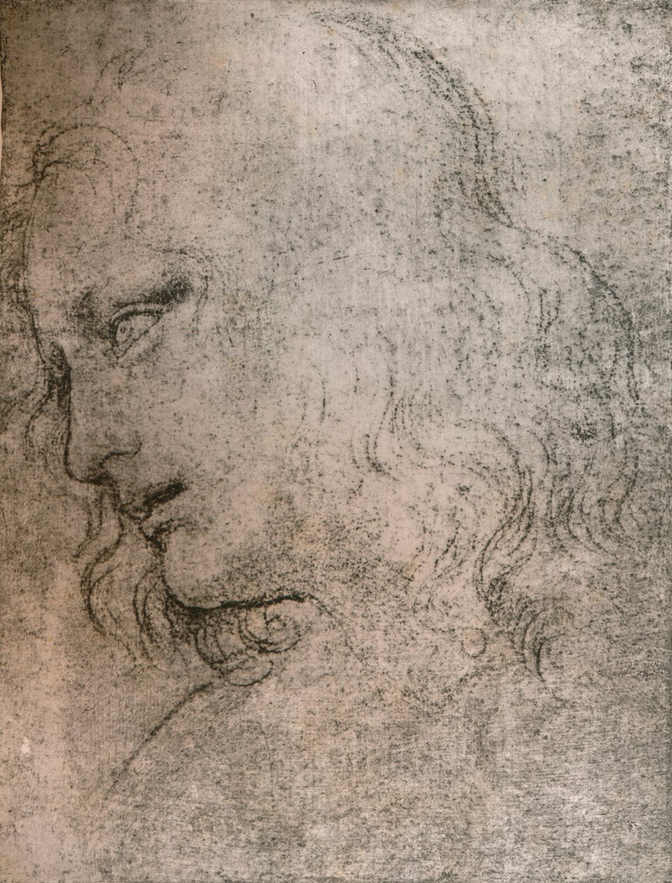 Studie pro hlavu svatého Filipa v "Poslední večeři", c1494-c1499 1883. od Leonardo da Vinci