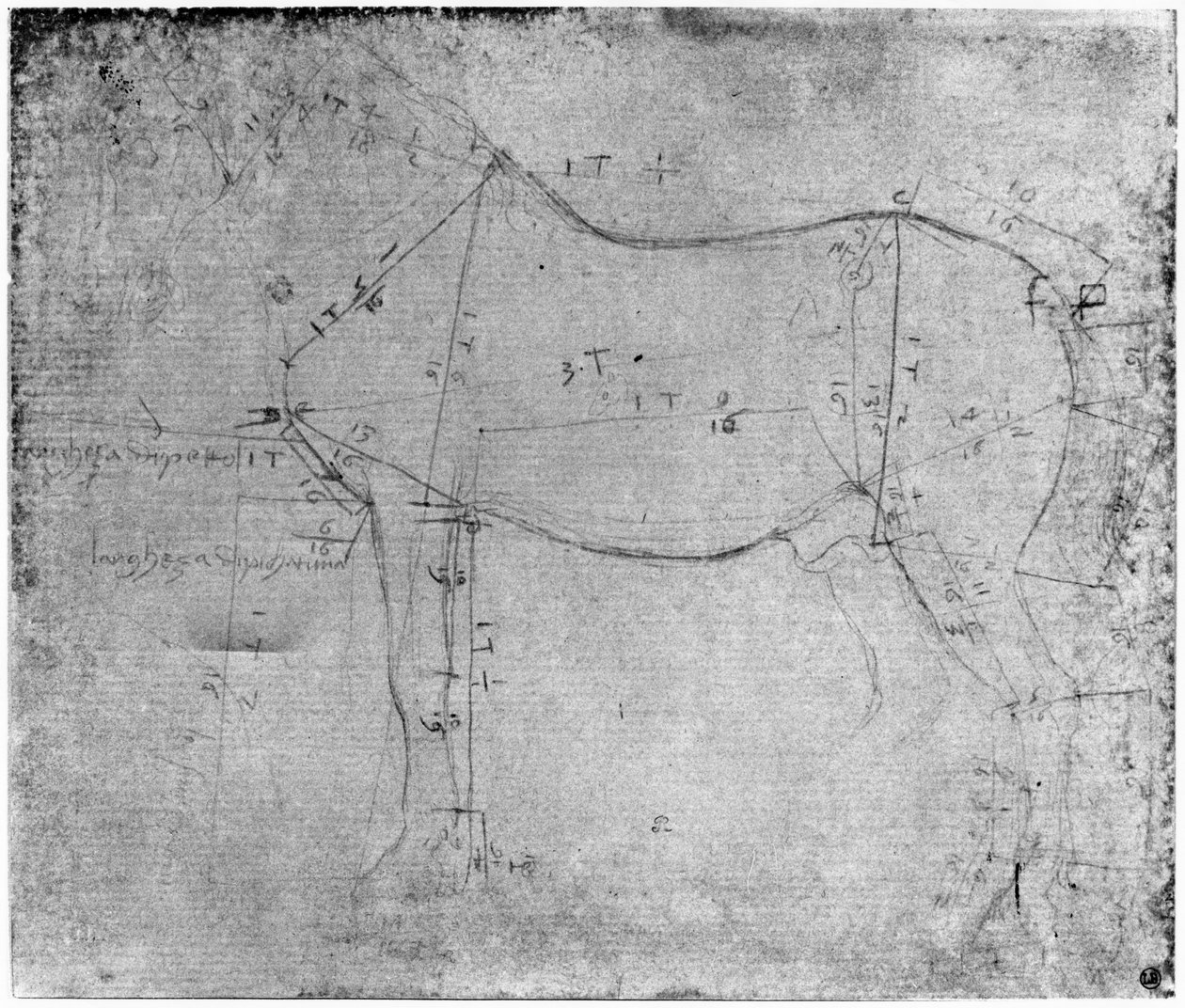 Studie koně (kovový bod na papíře) od Leonardo da Vinci