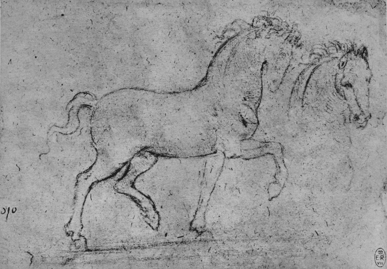 Studie koně a hlavy koně, c1480 1945 od Leonardo da Vinci