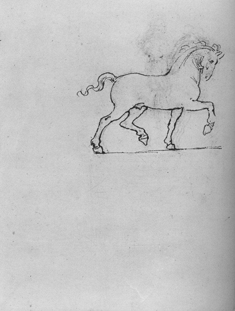 Studie koně, c1480 1945 od Leonardo da Vinci