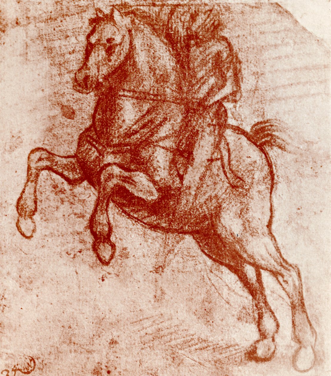 Studie rytíře, Leonardo De Vinci, 1913 od Leonardo da Vinci