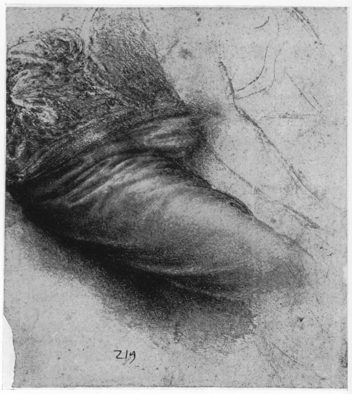 Studie oděvu pro svatou Annu, 1503-1517 1954 od Leonardo da Vinci