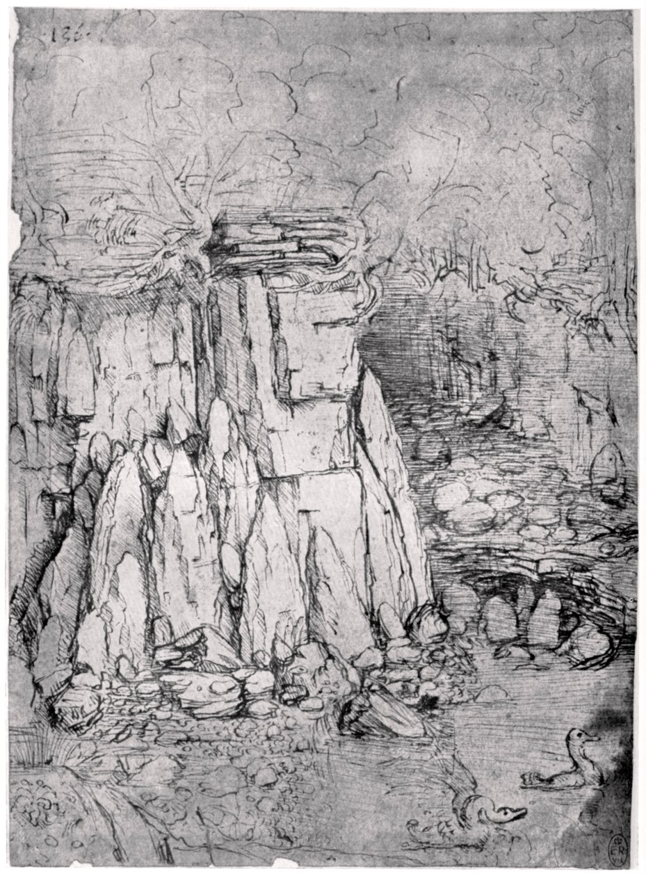 Studie skalní jeskyně s kachnami, 1482-1485 1954 od Leonardo da Vinci