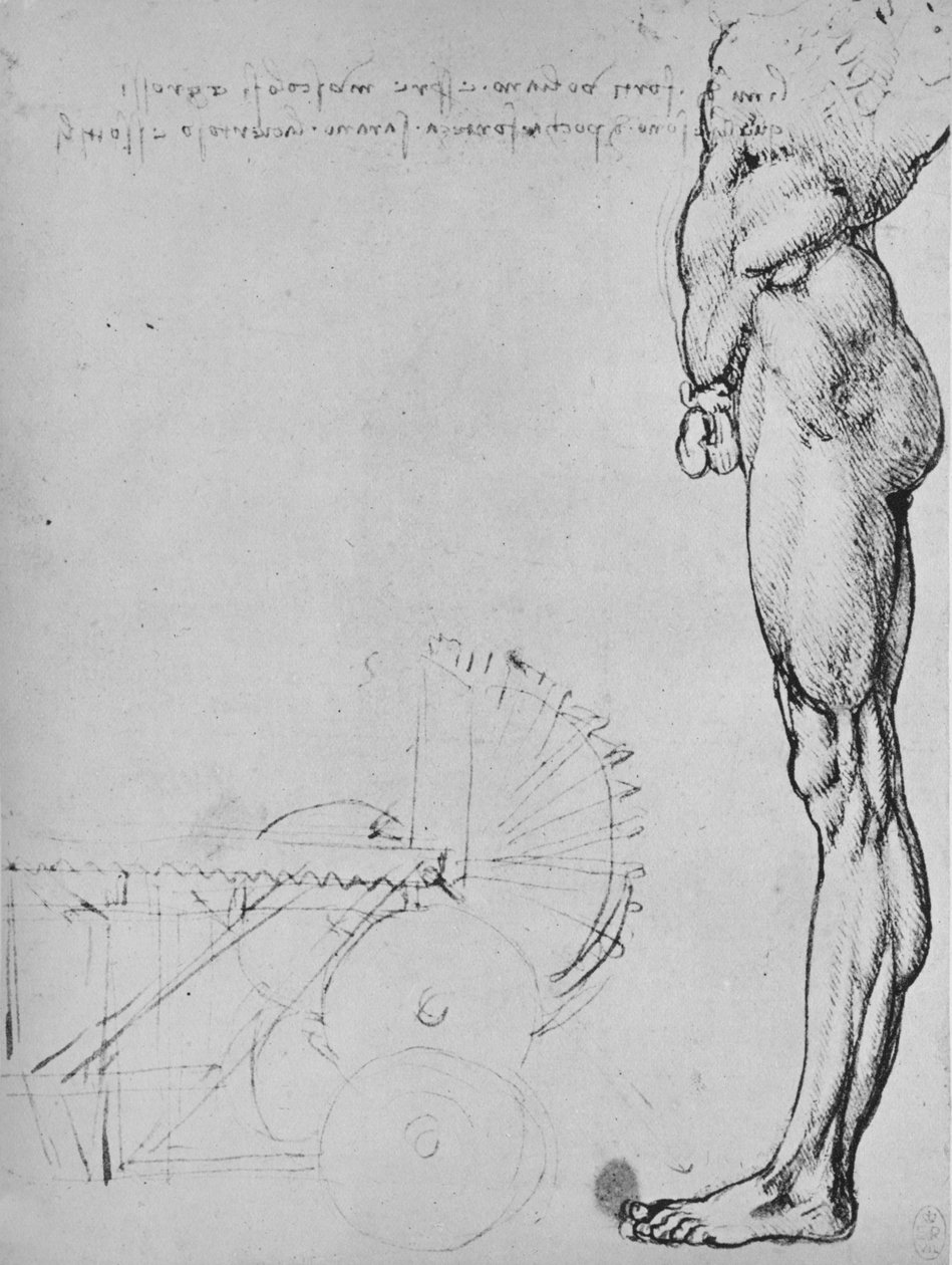 Studie o spodní polovině člověka a strojů, c1480 1945 od Leonardo da Vinci