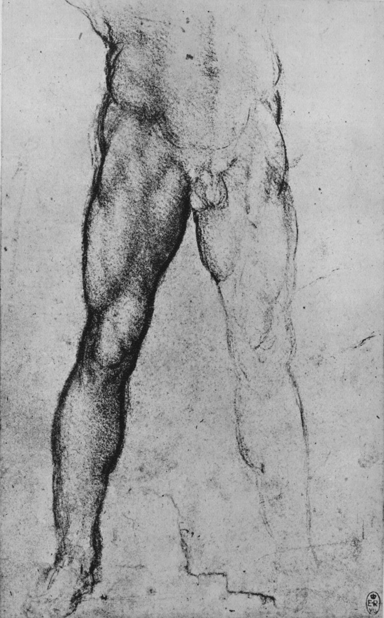 Studie spodní poloviny nahého muže tváří vpřed, c1480 1945 od Leonardo da Vinci