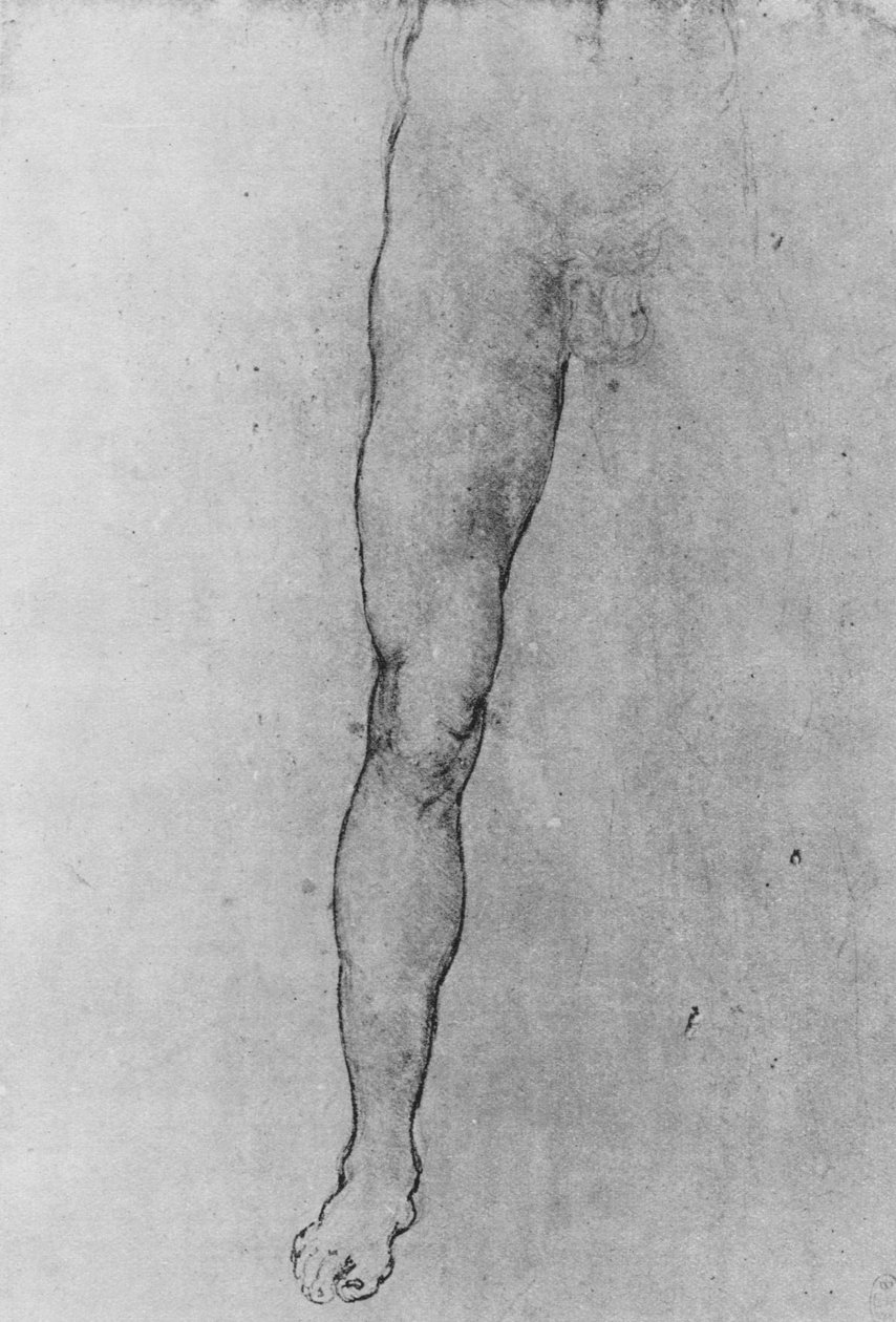 Studie dolní poloviny nahého muže směřujícího dopředu, c1480 1945 od Leonardo da Vinci