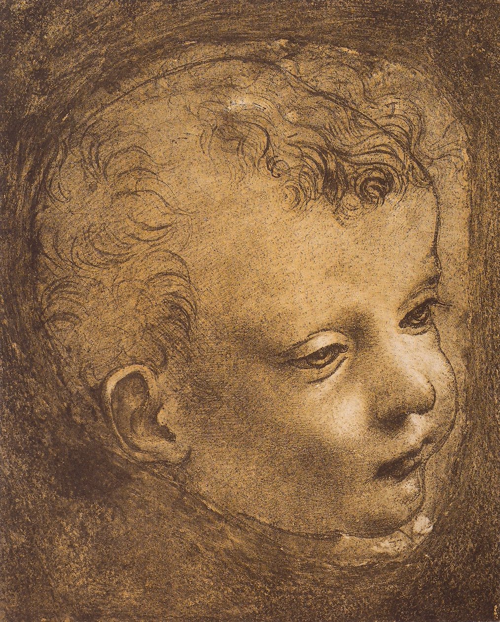 Studie tváře nemluvně sv. Jana pro Madonu ze Skal; kresba Leonarda da Vinciho. Louvre, Paříž od Leonardo da Vinci