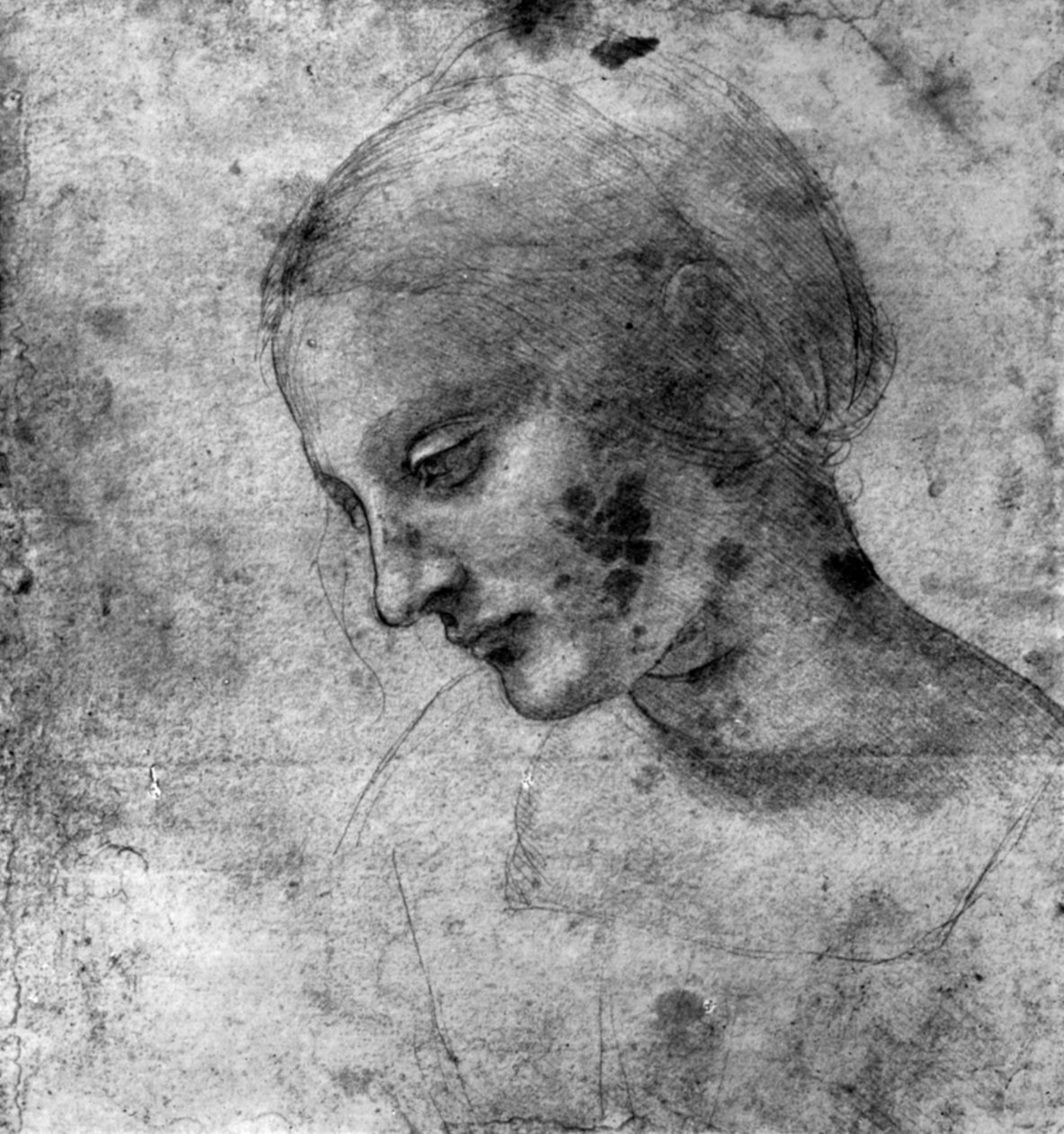 Studie hlavy Madony, 15. století 1930. od Leonardo da Vinci